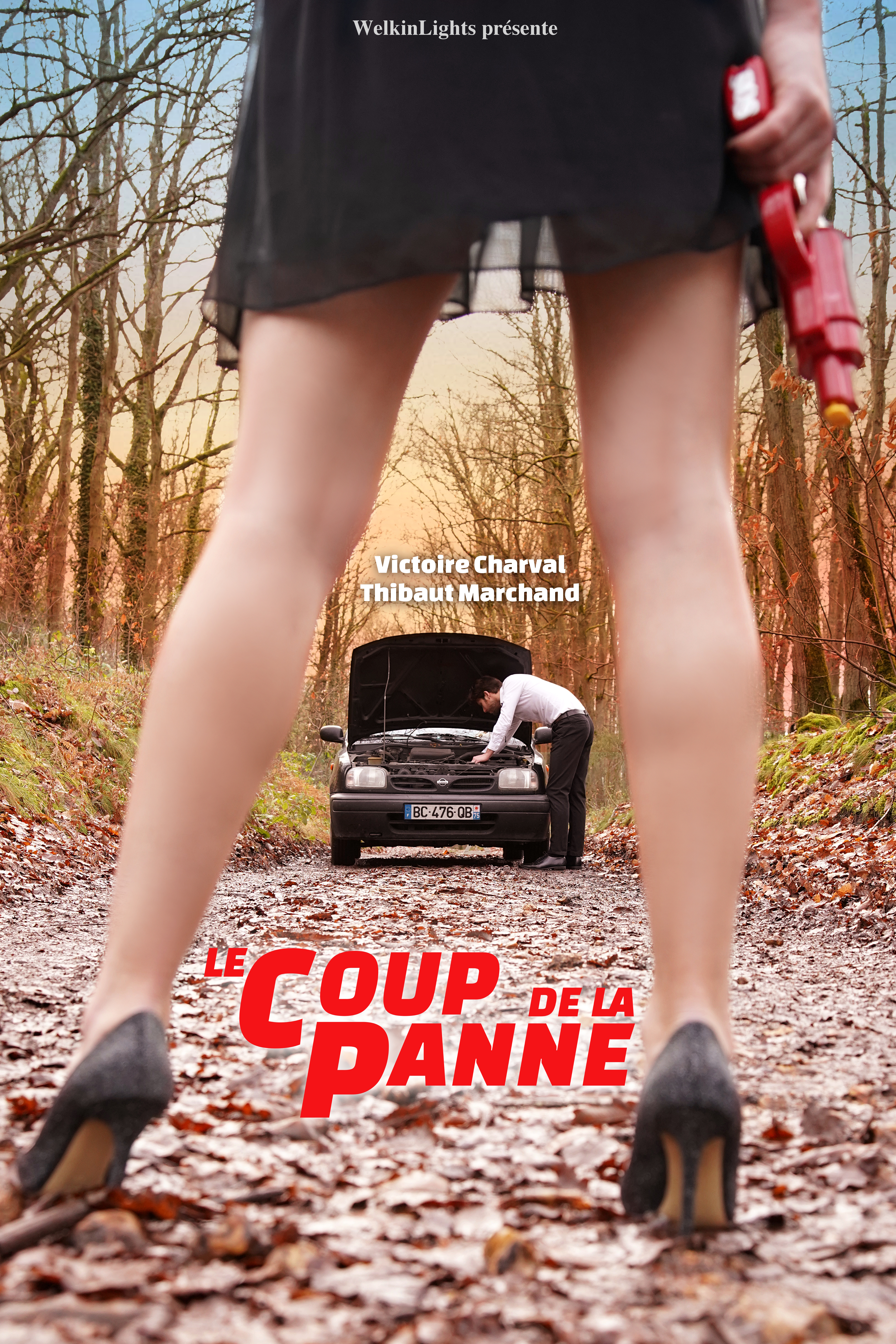 Affiche Le coup de la panne